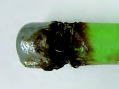 Thu nghiem chong an mon bang ngam nuoc muoi